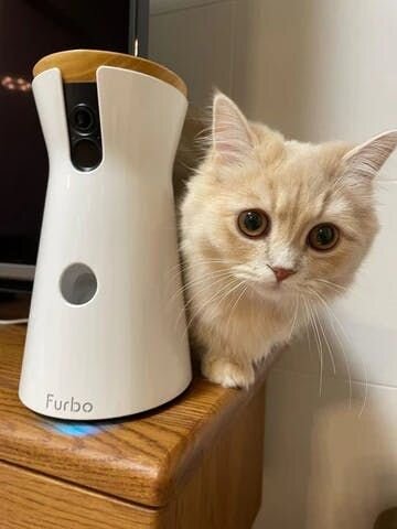 「愛犬専用設計」を謳っているFurboドッグカメラですが、実際は犬以外の様々なペットの飼い主さんも使用されています。