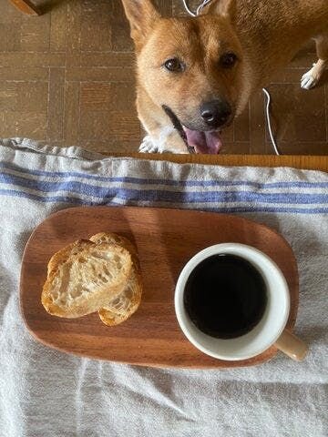 コロナにもまけず、なんとかとーさん一家もがんばってます。皆様におかれましても、もうひと踏ん張り！ そしてくれぐれもお気をつけて！！