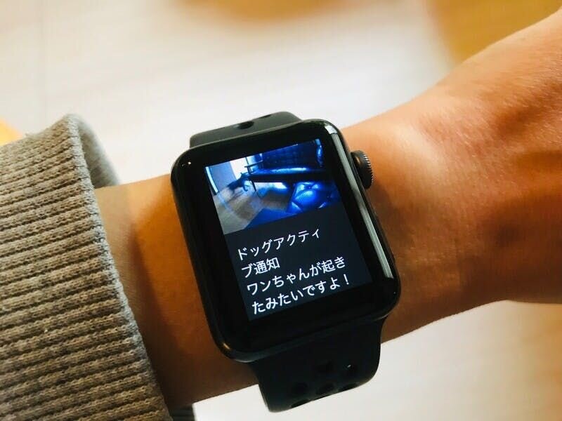 私はスマートウォッチと連動させているので、より瞬時に情報をキャッチできました。AIを活用した自動通知サービスは、まさしく時代の恩恵と言えますね！