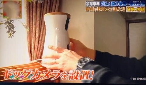 その番組の中でも触れましたが、わが家にとってドッグカメラFurboは当時からなくてはならない存在で、留守中、闘病中の妻と保護犬・福の様子を仕事中の僕の元に届けてくれました。