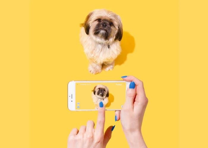 こんな機能もあった！基本から応用までファーボの使い方講座