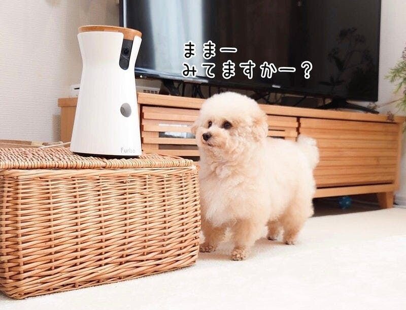 このカメラの何が最強かというと・・・