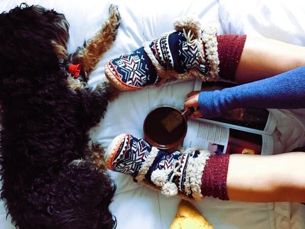 lying bed with dog