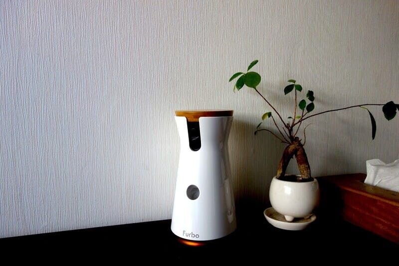 「きゃー、見にくいけど、かわいい！」

誰がなんと言おうと、愛犬の写真は宝物ですよね。ただ、カメラを覗き込んでいるということは寂しがっている可能性もあるので、なるべく早く帰ってあげましょう。
今回ドッグカメラを試してみて、2匹での留守番に問題がないことがわかり、ひと安心。こんな風に日々何もない...