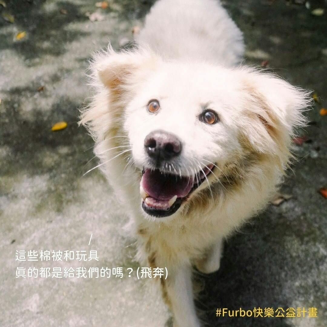 Furbo快樂公益計畫 之 物資募集！
