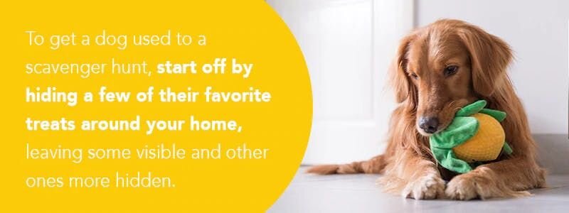 Create a Scavenger Hunt