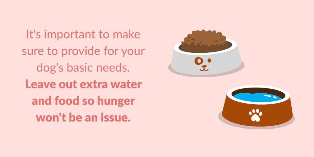 Leaving Your Dog for Three Days