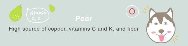 can dogs eat pear