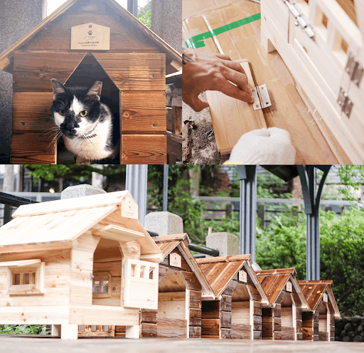 建造貓屋：
我們手工打造堅固溫暖的貓屋，無論大雨滂沱還是寒冷的冬季，貓咪們都能在避風港裡平安度過。也提醒來猴硐觀光、看到貓屋的人，更加善待流浪動物。