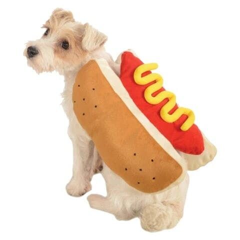 dog dress like a hot dog