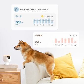 monitor daily activity