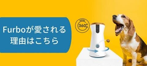 帰ってきたら、疲れていても全力でわんちゃんをハグしてあげましょう。