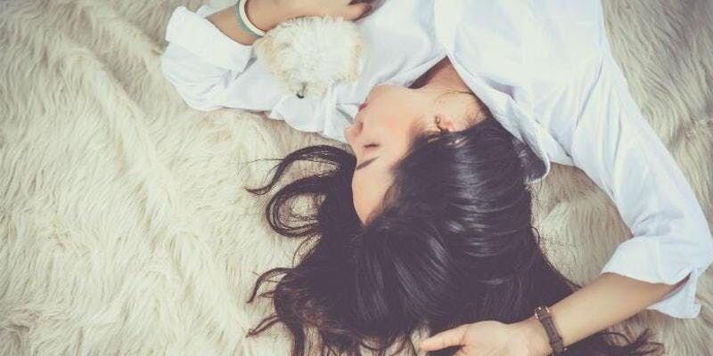 あなたが愛犬と一緒に寝るべき10の理由