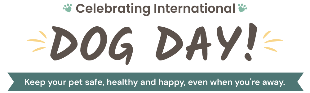 Celebrating International Dog Day. Keep your pet safe, healthy and happy, even when you're away.