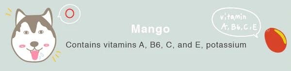 can dogs eat mango