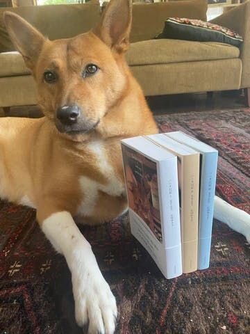 その本とは女優・石田ゆり子さんの「ハニオ日記」です。石田ゆり子さんが2016年から始めたインスタグラムに投稿してきた日々の記録を全3巻にわたりまとめたものです。