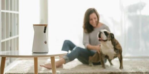 ドッグカメラをオススメしたい犬の飼い主さん5タイプ