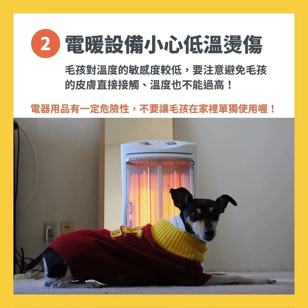 照顧毛孩注意事項