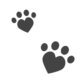 Flash Day Dog Paw Icon