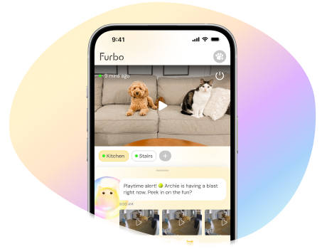 Phone showing Furbo Nanny app 