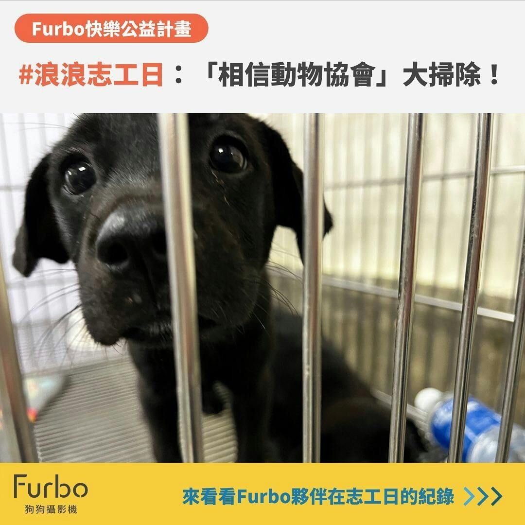 相信動物協會大掃除志工回顧｜守護浪浪的清潔大隊！