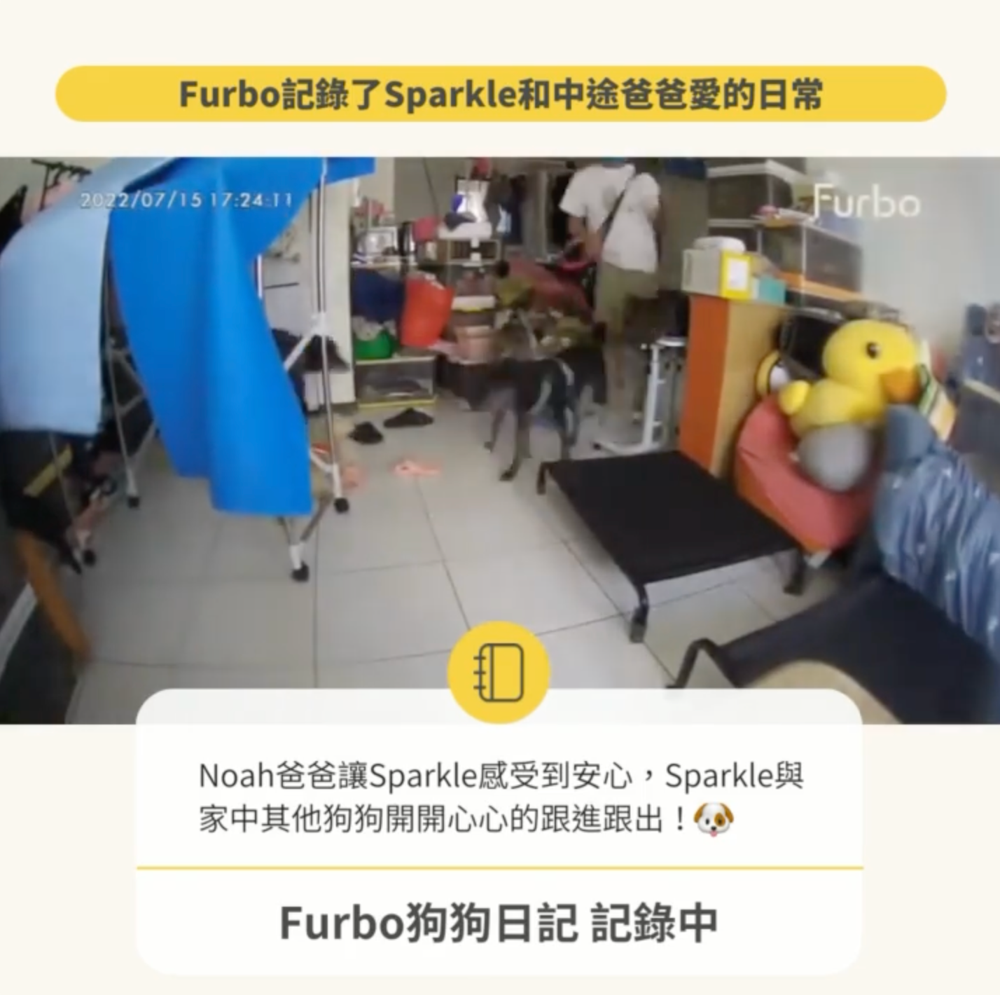 Furbo紀錄中途生活