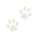 Flash Day Dog Paw Icon