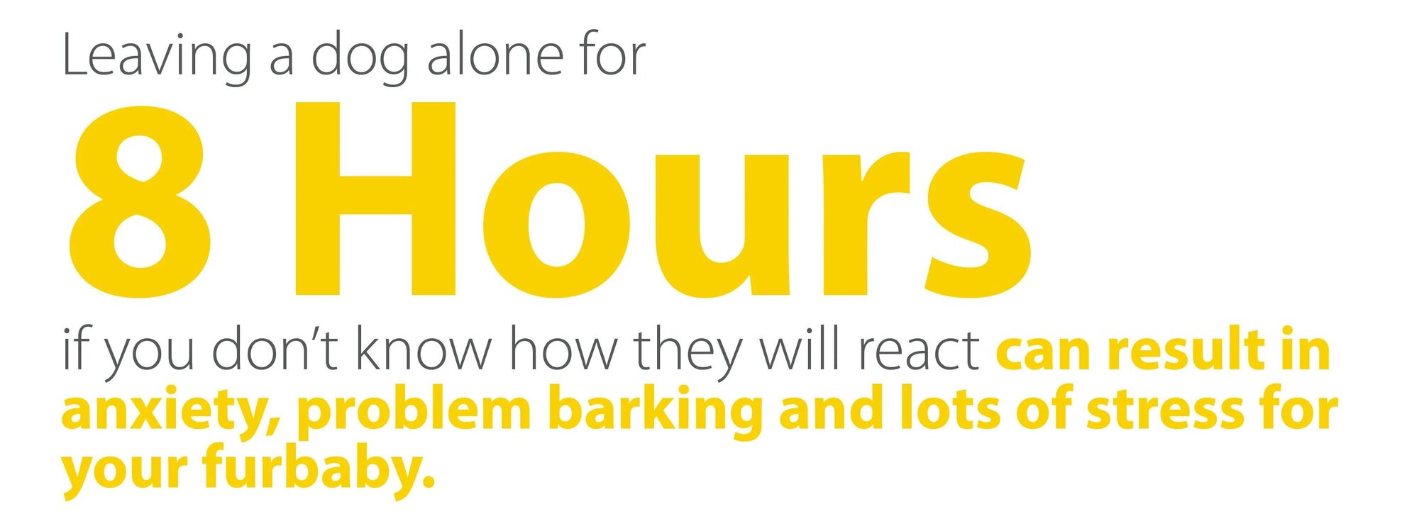 How to Leave a Dog Home Alone