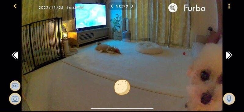 新型360°ビュー↓