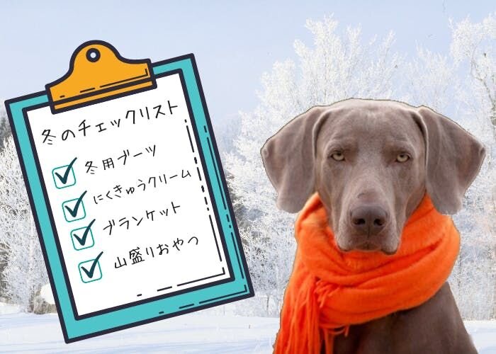 冬本番！愛犬への真冬対策はもうできた？