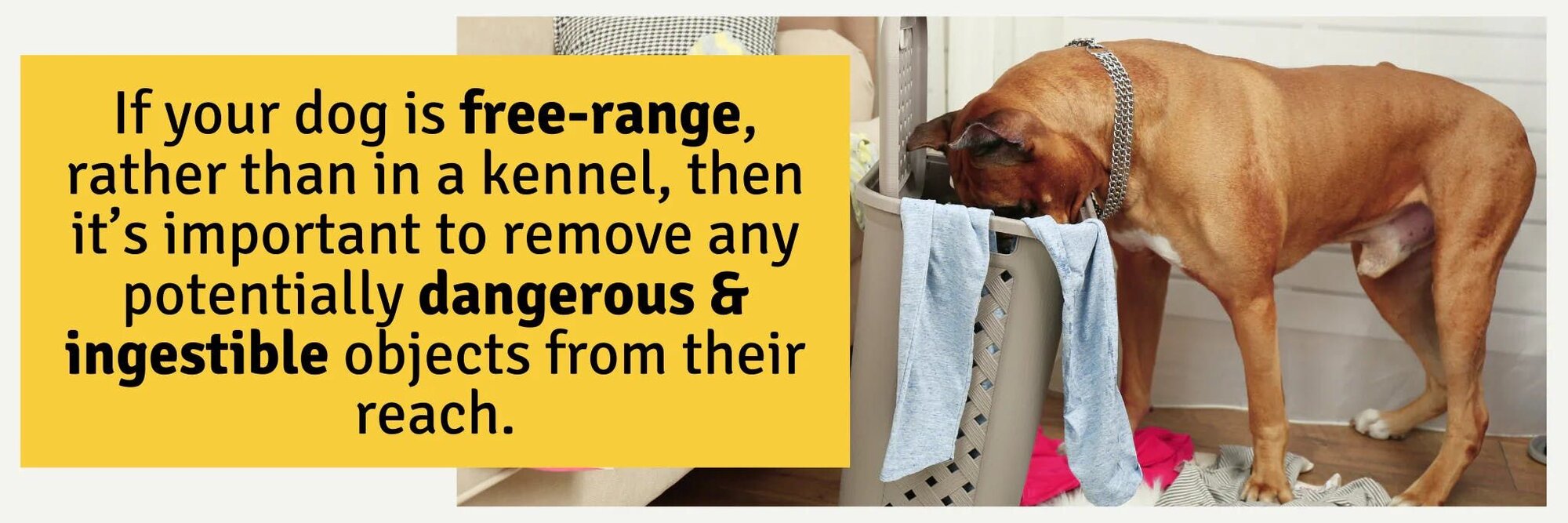 Remove potentially dangerous & ingestible objects