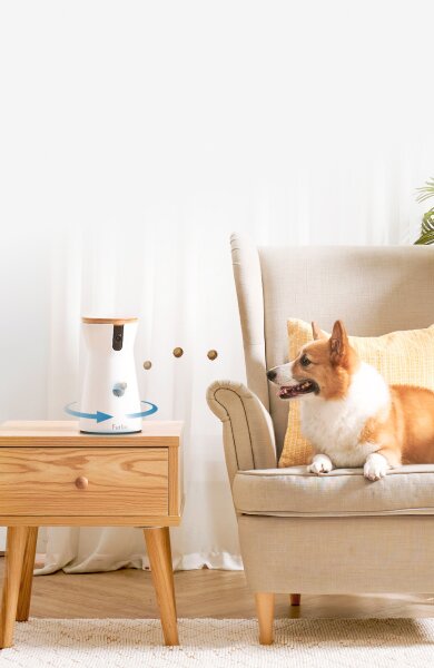 Corgi-Hund sitzt in beigem Stuhl neben weißer Furbo-Kamera auf Nachttisch