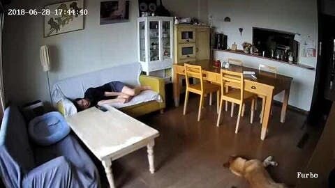 当時使っていたFurboには留守中の様子をライブで遠隔地で見られるのはもちろん、写真機能と動画機能があったのでそれを記録することができました。番組でも使用したその記録された映像は今となっては大切な家族の思い出です。むしろもっともっと記録しておけばよかったなあと思います。