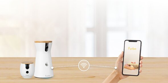 Two Furbo pet cameras sit on a wooden table, connected via a Wi-Fi symbol to a smartphone held in a hand showing the Furbo app.