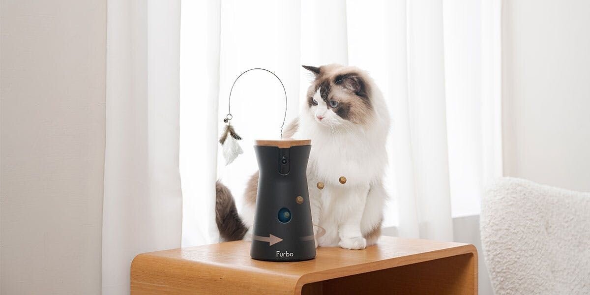 photo of a ragdoll cat sitting next to a Furbo device