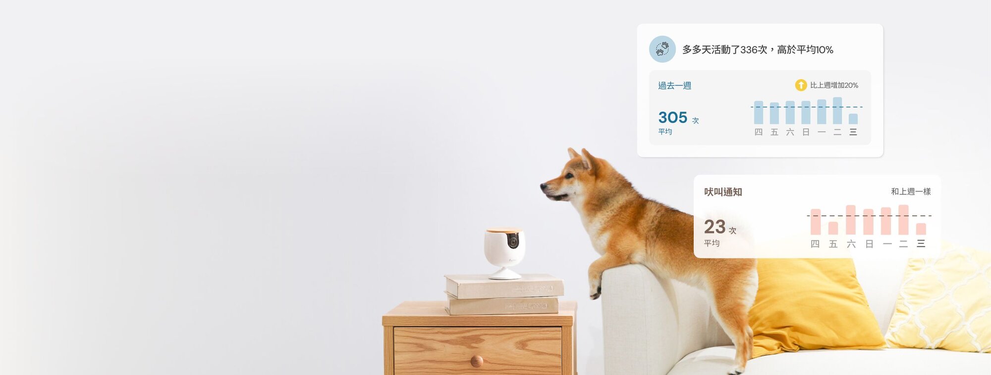 monitor daily activity