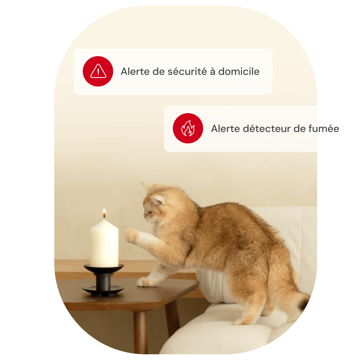 Chat orange tend patte vers bougie allumée, alertes sécurité domestique et fumée affichées