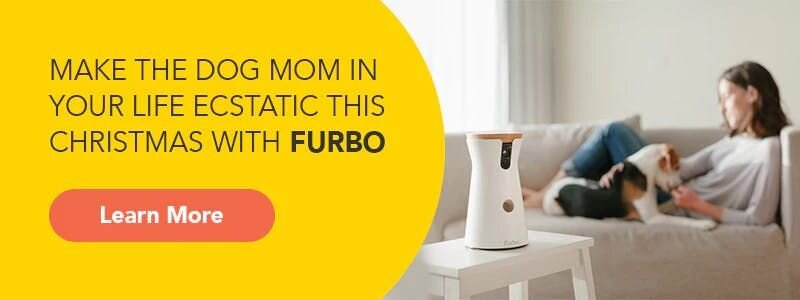 furbo dog camera