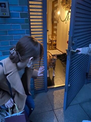 モエもカーテンの奥に隠れてはいたものの、しばらくするとカーテンの影から様子を伺いました。そして僕が
「おいで！もえちゃん」というと、なんと一度はやってきてぼくの足元にまとわりついたのですが・・・その様子をそっと眺めようと姪が体を少し動かした途端にささっ！と忍者のように隠れてしまったのでした。
...