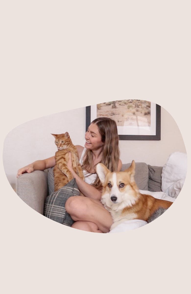 Person with a cat and a dog on a sofa