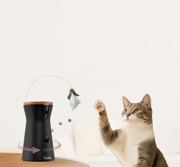Furbo 360 cat camera with a cat