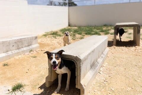 ▲晴天のもとで配信できました