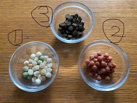 こちらが現在のラインナップ。①おやつボーロ、②ミートボール、③ドッグフード