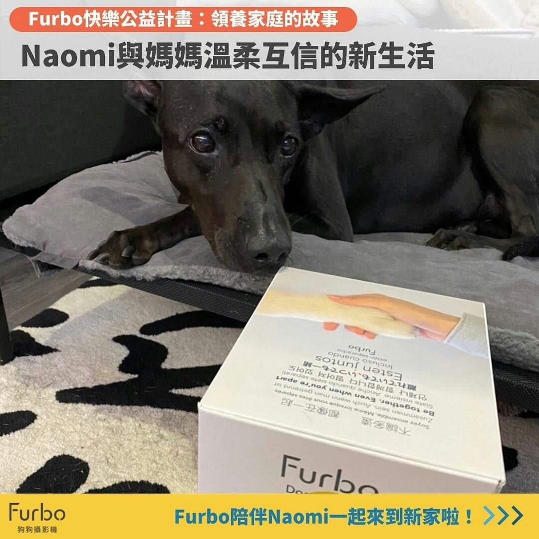 浪浪回家特輯｜黑色浪浪Naomi奇蹟般尋家故事