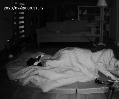 ときどきトイレに行きたくて悶絶するけどできるだけがまん。君たちの重さ＝幸せを感じています。