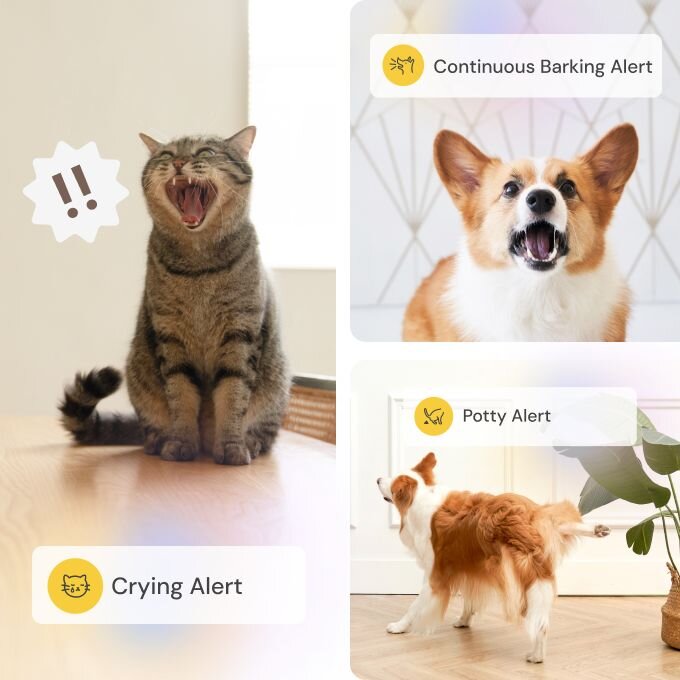 Pet monitoring alerts showing meowing cat with crying alert barking corgi and dog near plants with potty alert notifications