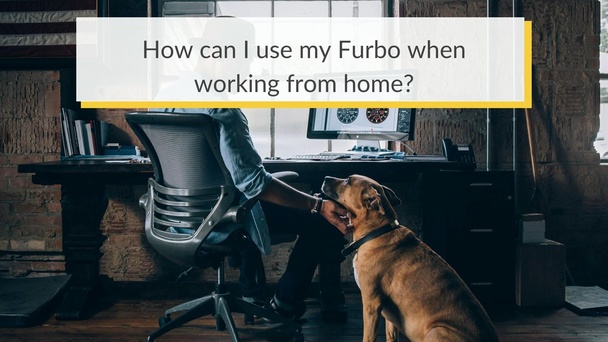 How to use Furbo when working from home