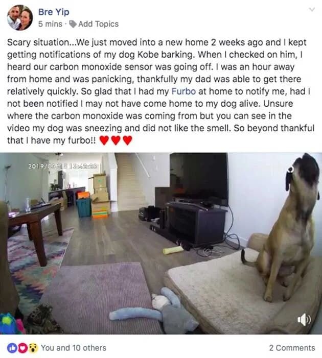 對Tomofun來說，他們運用AI，在本來的狗狗攝影機，加上了「狗保姆」的角色。張友辰滑開手機，秀出用戶在臉書上的感謝文：Furbo狗保姆的服務即時偵測到狗兒一直在叫，而且聲音驟變，像是在求救，一發訊息通知用戶，才知道是家中瓦斯外洩，趕緊回家救了狗兒一命，也讓家中免於火災。