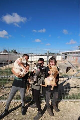 今回は、沖縄県の宮古島で犬猫たちの幸せのために尽力されている宮古島SAVE THE ANIMALSの中原さんにお話をお伺いしました。