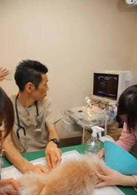 心配な時は、Furboドックカメラを活用してシニア犬の様子を細かく見たり、ペットシッターにお願いしたり、シニア犬に特化した施設や動物病院に預けることも考慮するといいでしょう。